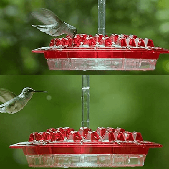 Hanging hummingbird nectar feeder with ant guard by BROKLEN – view 6