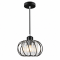 Black globe cage pendant light with Edison filament bulb
