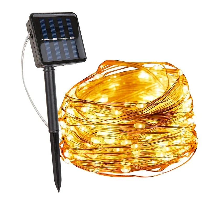 Solar string lights in garden at night