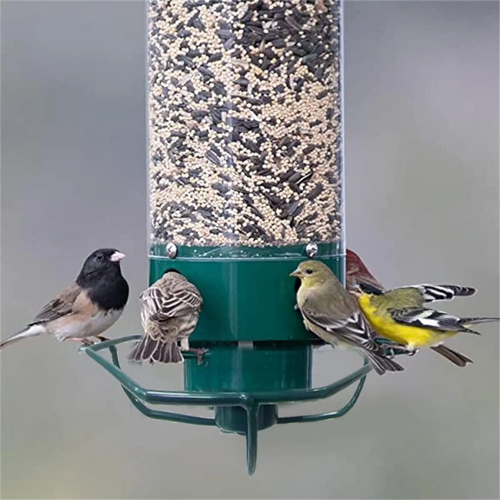 Squirrel proof hanging seed tube bird feeder by BROKLEN – view 6